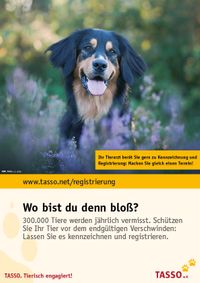 TASSO_Plakat-Hund